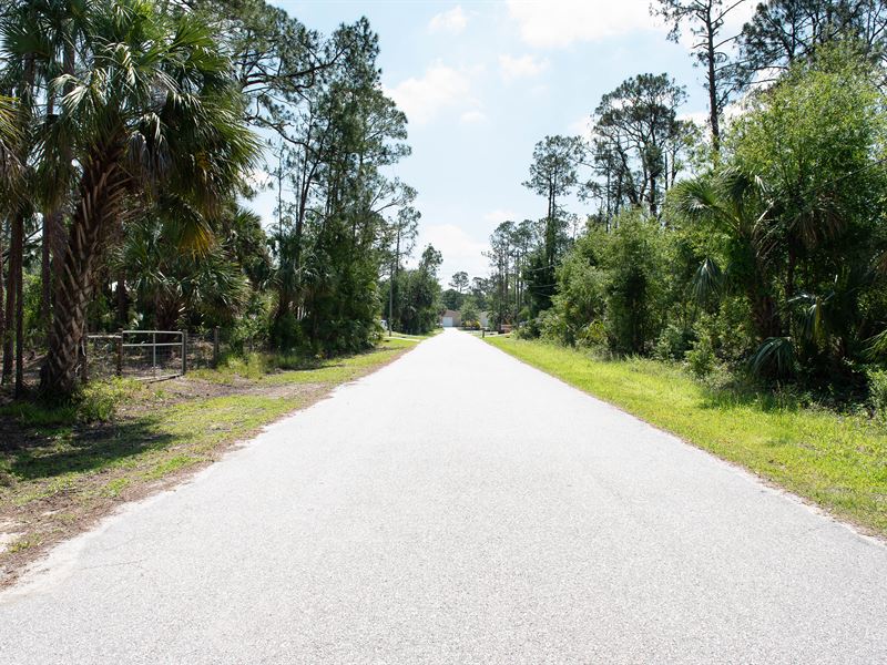 Power, Paved Road, Near Highway : North Port : Sarasota County : Florida