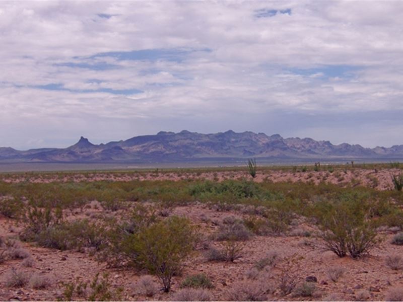 Off-Grid Sanctuary, $195/Mo : Golden Valley : Mohave County : Arizona