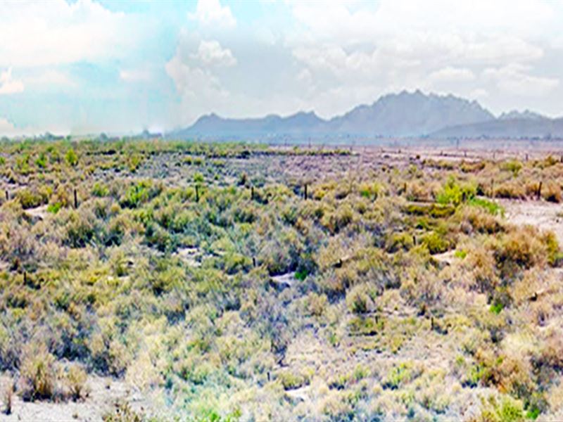 60-Day Same as Cash, 0.50 Acre : Deming : Luna County : New Mexico