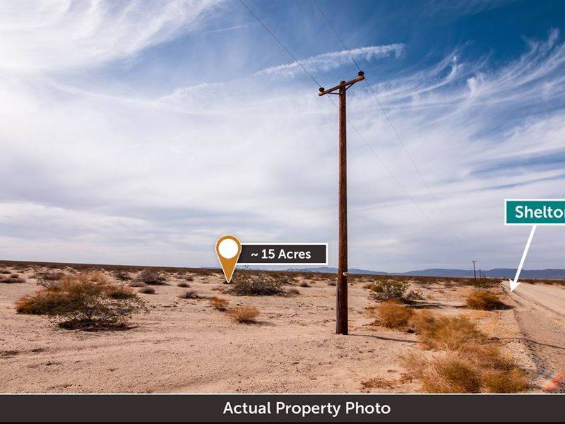 Electric Poles at The Lot Line : Twentynine Palms : San Bernardino County : California