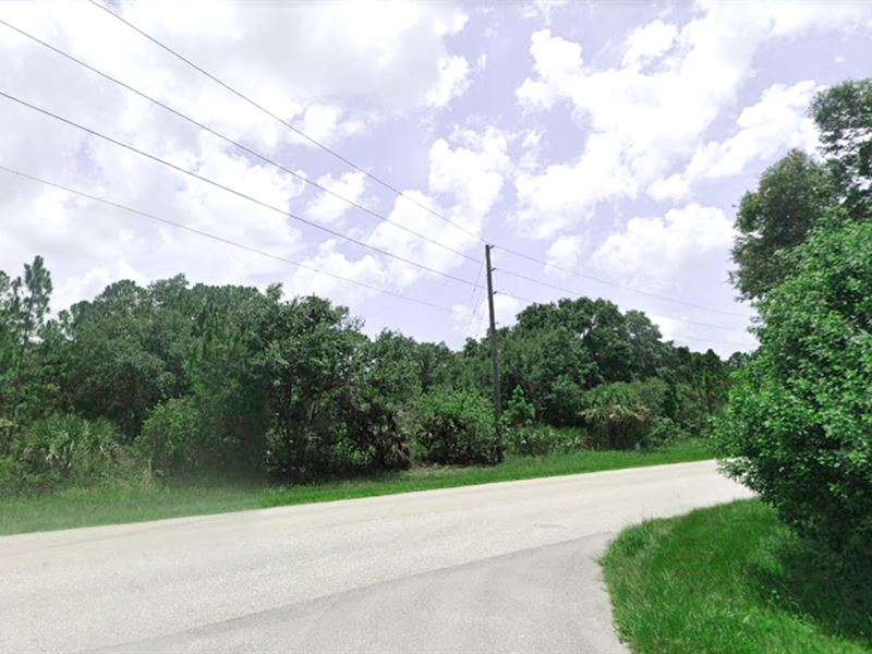 Beautiful Land Near Greenbelt : Port Charlotte : Charlotte County : Florida