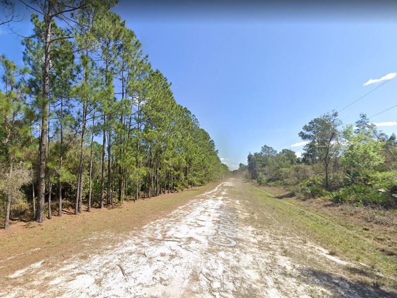 .23 Acre Beauty in Putnam County : Florida : Putnam County : Florida