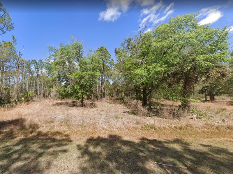 Live Stress Free in Putnam County : Florida : Putnam County : Florida