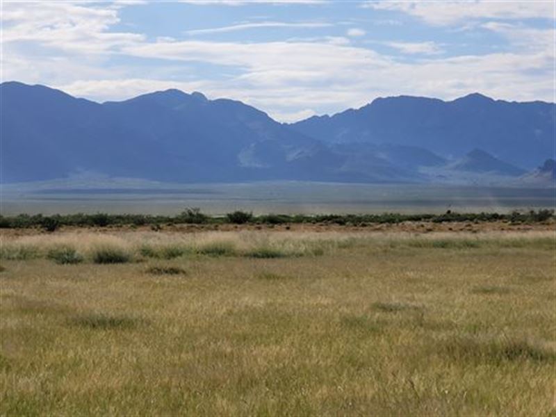 Dream Big on 2.5 Acres Only $149/Mo : Deming : Luna County : New Mexico