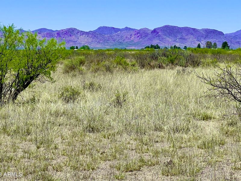 Perfect 11 Ac, Build Near Mountains : Willcox : Cochise County : Arizona