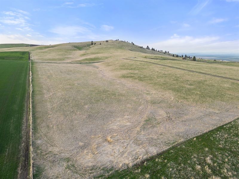 Kirby Place 18 Acres : Cottonwood : Idaho County : Idaho