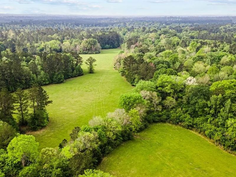 .2 Acre in Livingston, TX : Livingston : Polk County : Texas