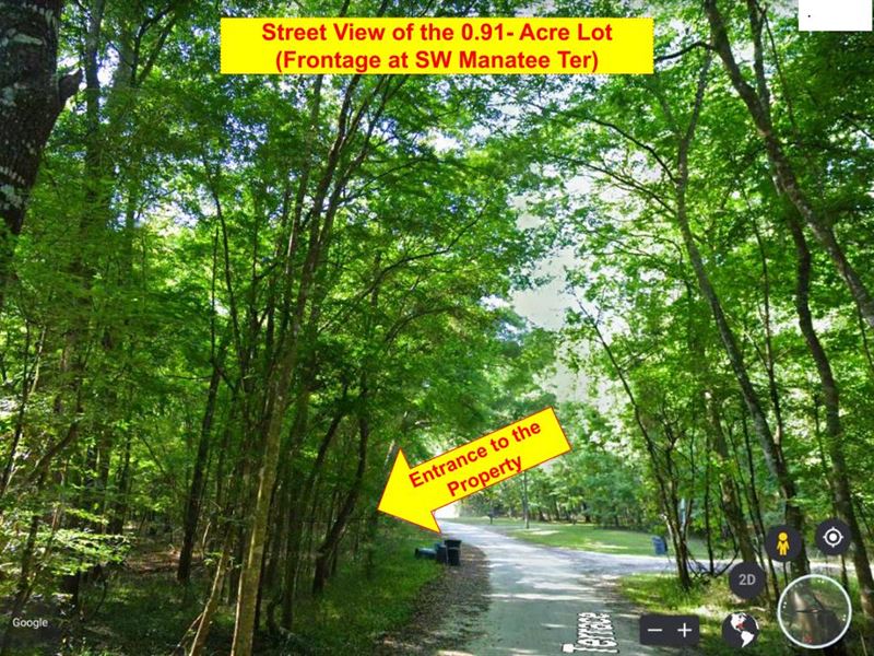 Dream Acreage in Fort White : Fort White : Columbia County : Florida