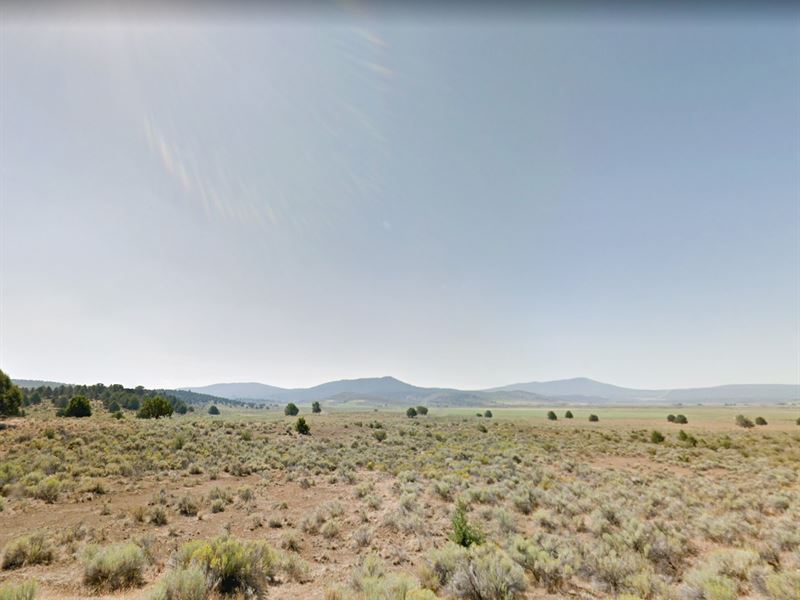 Off-Grid, Priced to Sell : Chiloquin : Klamath County : Oregon