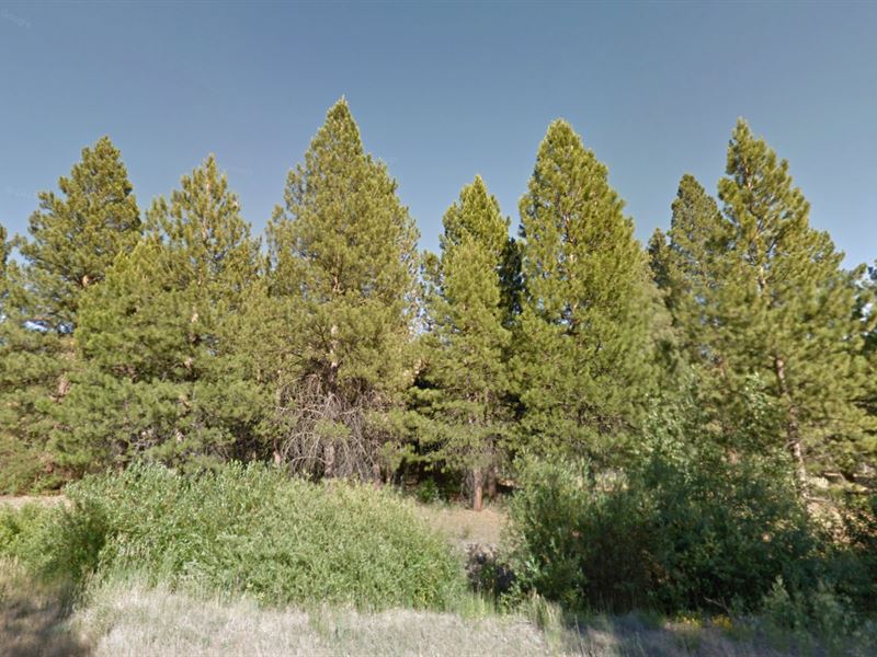 .19 Acre of Bliss in Modoc County : Modoc : Modoc County : California