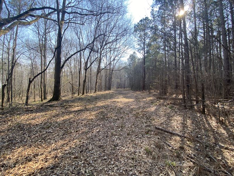 Bishop Woodlands Tract A : Bishop : Oconee County : Georgia
