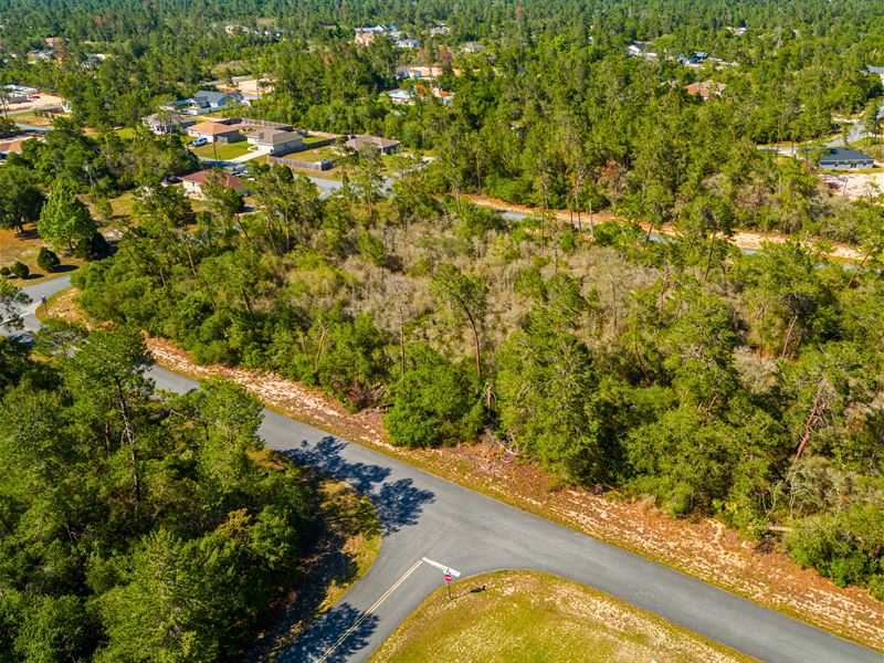 Prime Residential Lot 0.23 AC : Marion Oaks : Marion County : Florida