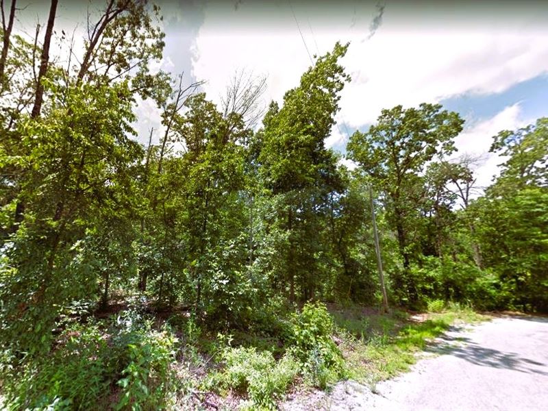 A Verdant and Vibrant Piece of Land : Bella Vista : Benton County : Arkansas