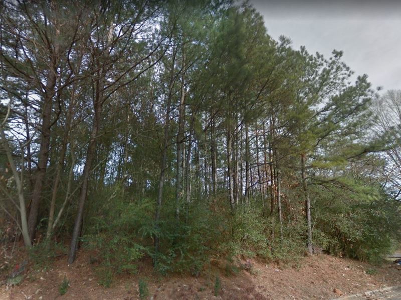 Explore What Bessemer Has to Offer : Bessemer : Jefferson County : Alabama