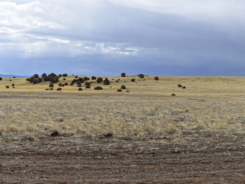 Find Your Peace Of Home : Concho : Apache County : Arizona