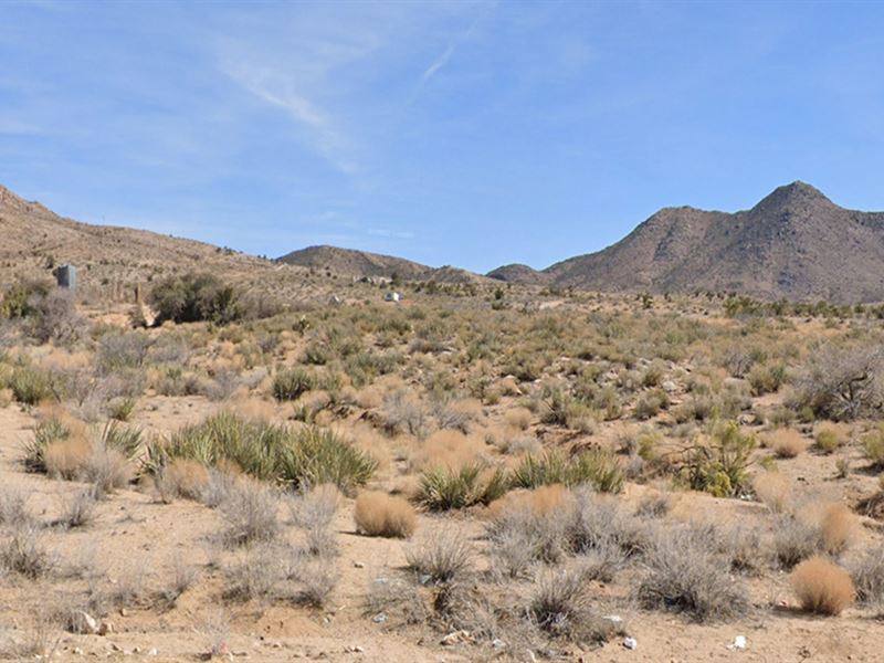 90-Day Same as Cash, $999 Down : Kingman : Mohave County : Arizona