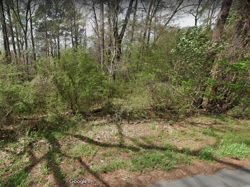 Price Reduced, Rural But Close : Macon : Macon County : Georgia