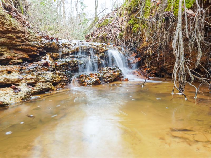 19 Acres, SH 315 : Mount Enterprise : Rusk County : Texas