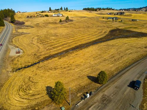 Hoffman's Palouse Views : Spokane : Washington