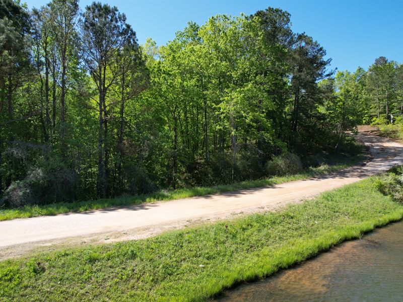 Twin Lakes Lot 5 : Roanoke : Randolph County : Alabama