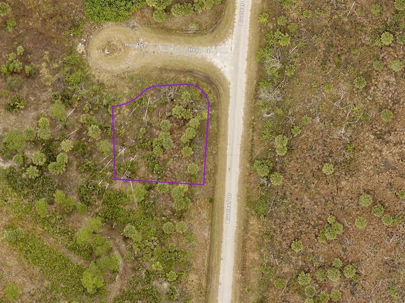 Beautiful Corner Lot in North Port : North Port : Sarasota County : Florida
