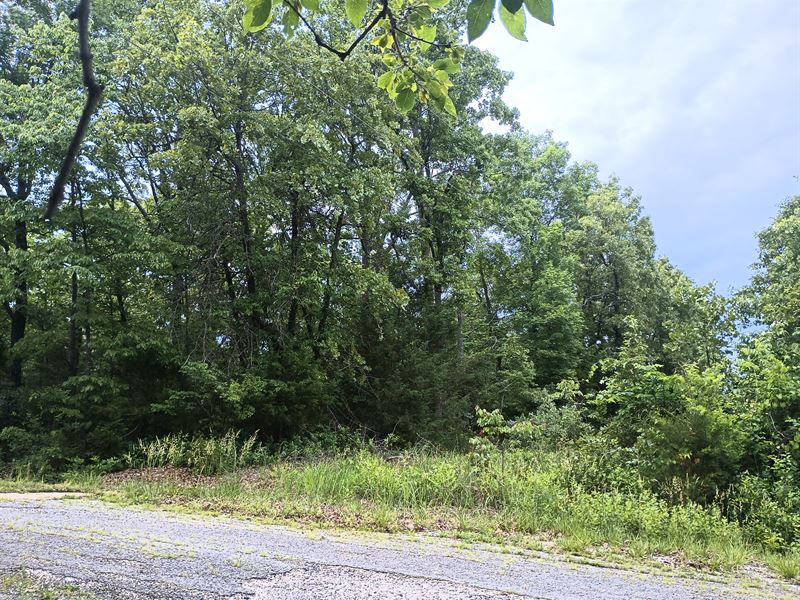 Golf Course and Lake Walkable : Horseshoe Bend : Izard County : Arkansas