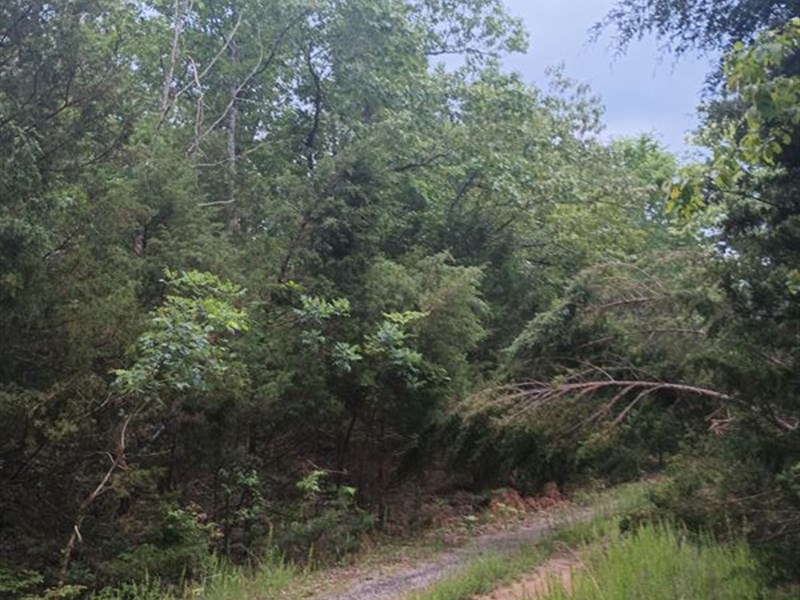 Cheap as it Gets, Build Cabin Here : Horseshoe Bend : Izard County : Arkansas