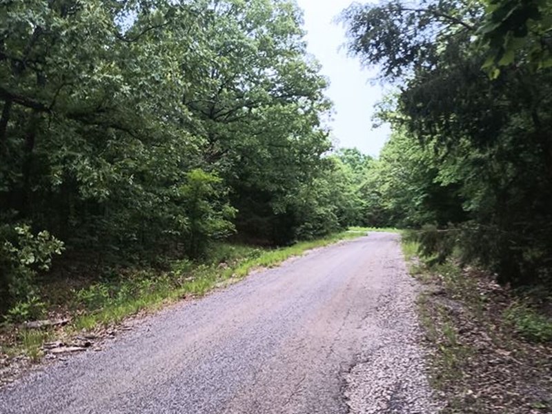 Cabin Builder's Dream Come True : Horseshoe Bend : Izard County : Arkansas