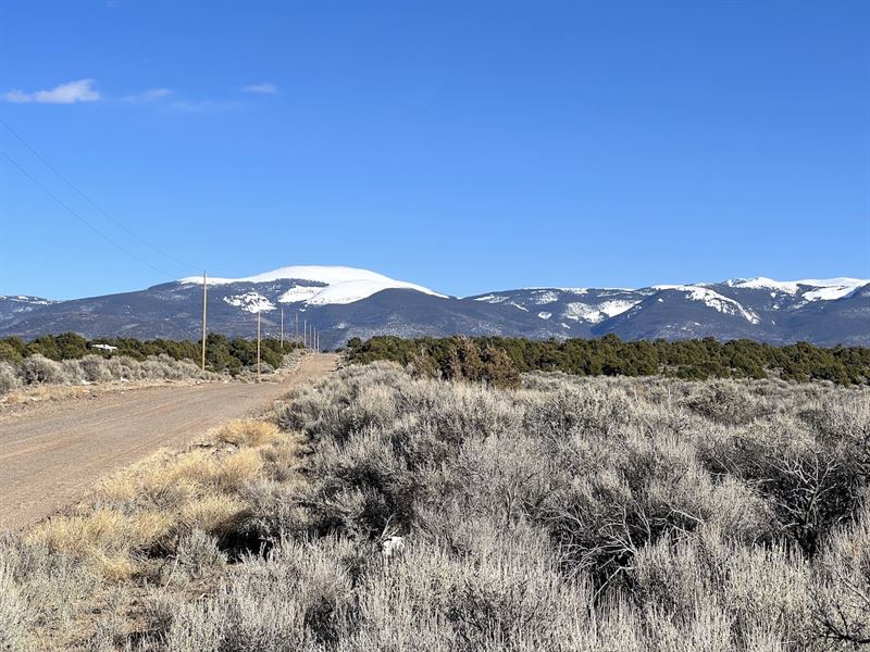 Wild Horse Mesa Land, Power Lines : San Luis : Costilla County : Colorado