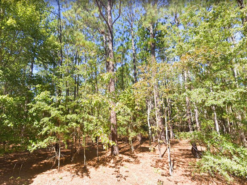 Quiet Country Lot, NO HOA : Kershaw : Kershaw County : South Carolina