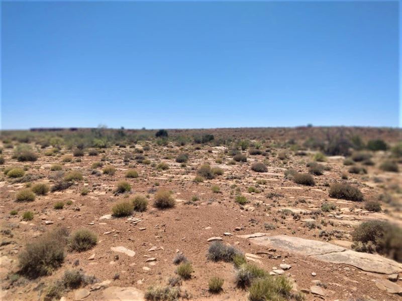 5 Acres of Rural Paradise : Saint Jones : Apache County : Arizona