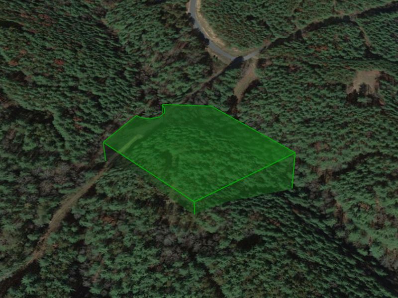 View Lot By Pisgah National Forest : Collettsville : Caldwell County : North Carolina