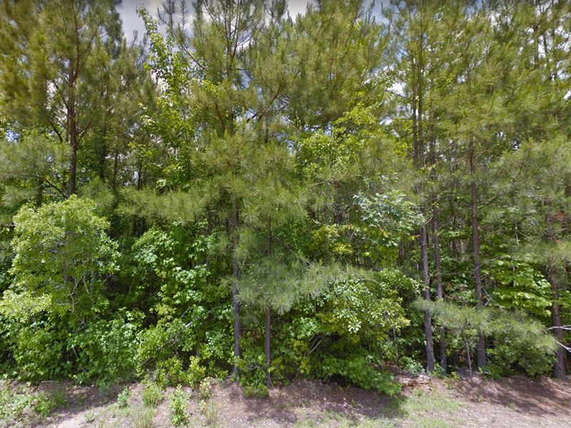 10 Minutes From Kershaw : Kershaw : Kershaw County : South Carolina