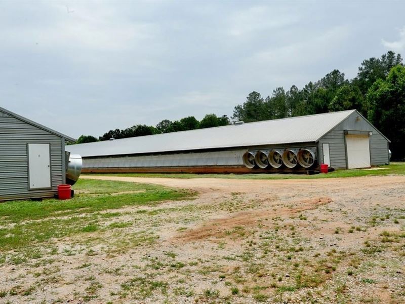 Poultry Breeder Farm 2 House Missis : Chunky : Newton County : Mississippi