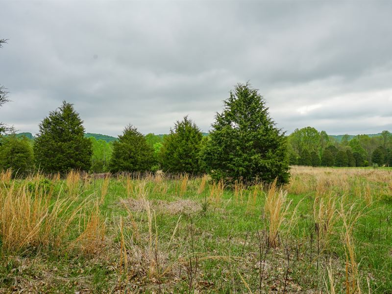 Rooster Hollow Rd 5 : Blue Creek : Adams County : Ohio