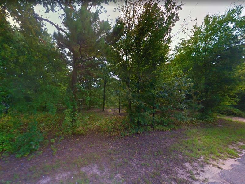 .08 Acre in Mineola, $200/Month : Mineola : Smith County : Texas