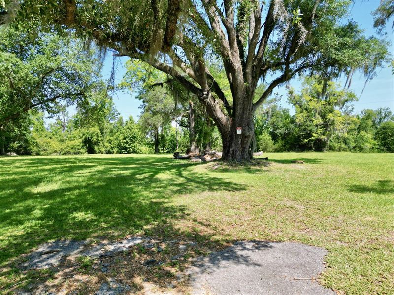 Carters Mill Road Marianna : Marianna : Jackson County : Florida