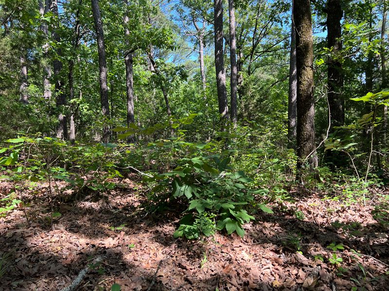 Lot for Sale in Latimer County, OK : Panola : Latimer County : Oklahoma