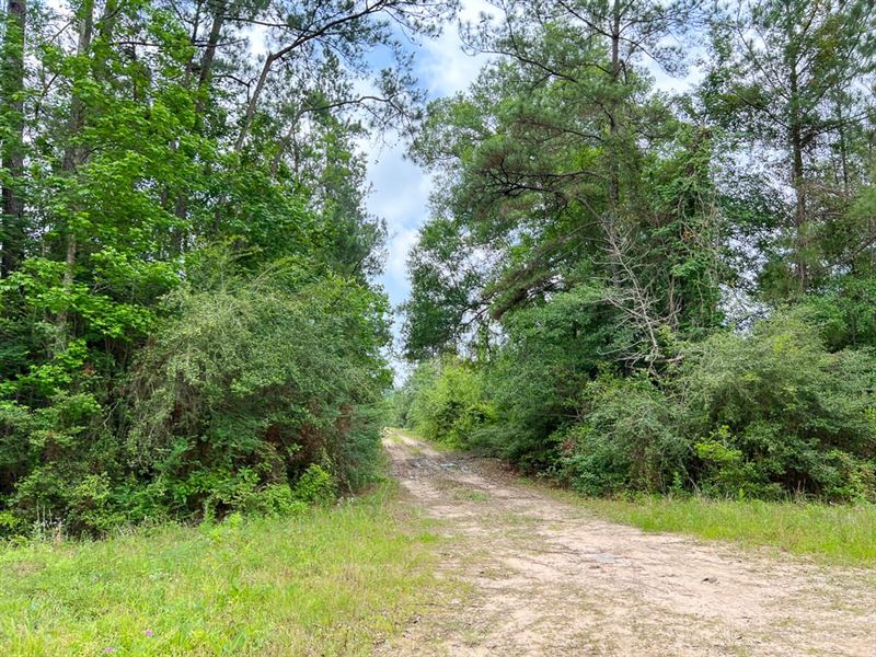 12 Acres, Old Arco Road A-5 : Silsbee : Hardin County : Texas