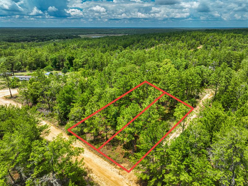 Off-Grid in Sunny Florida : Interlachen : Putnam County : Florida