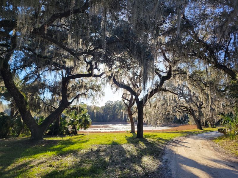 Greenway Farms II Lot 1 : Fort McCoy : Marion County : Florida