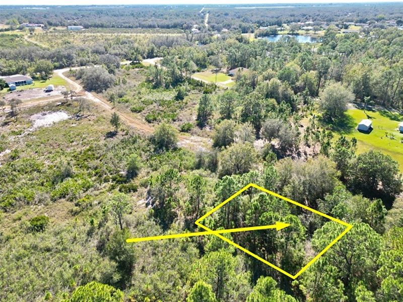 .30 Ac Lot Close to Lake Damon : Avon Park : Highlands County : Florida