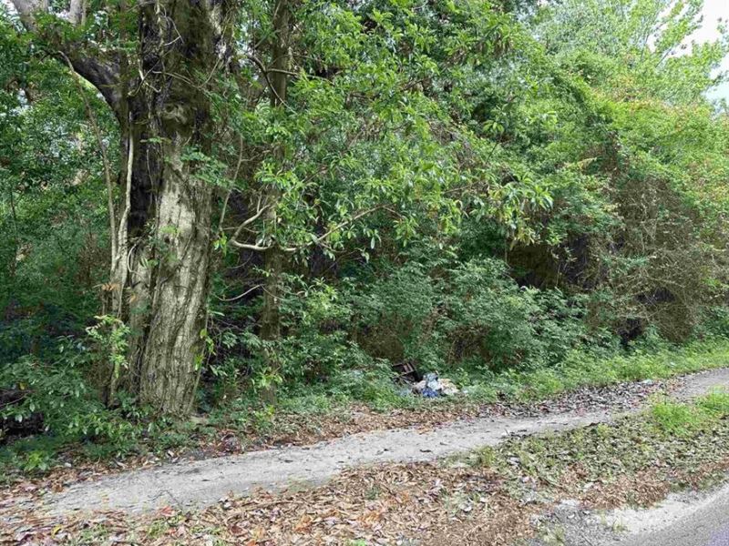 .18 Acre for Sale in Pensacola, FL : Pensacola : Escambia County : Florida