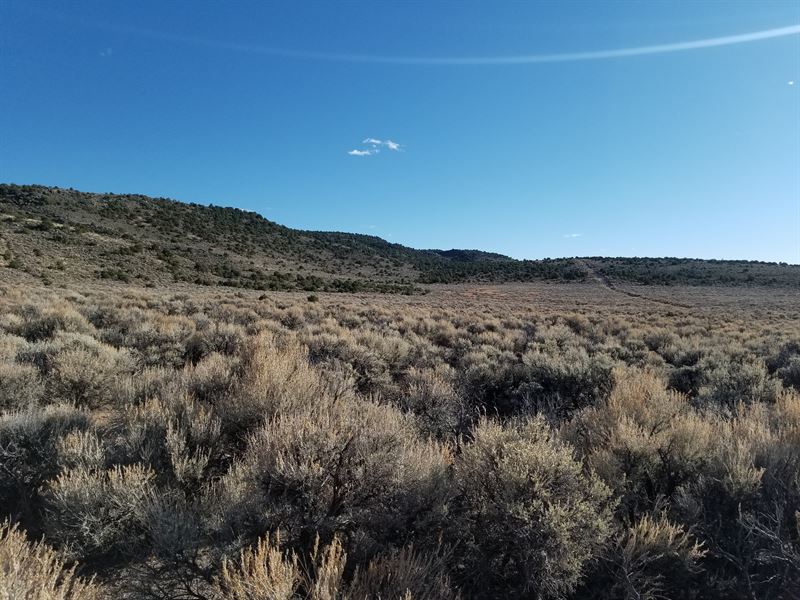 Feel At Ease on 5 Acres in Co, $170 : San Luis : Costilla County : Colorado