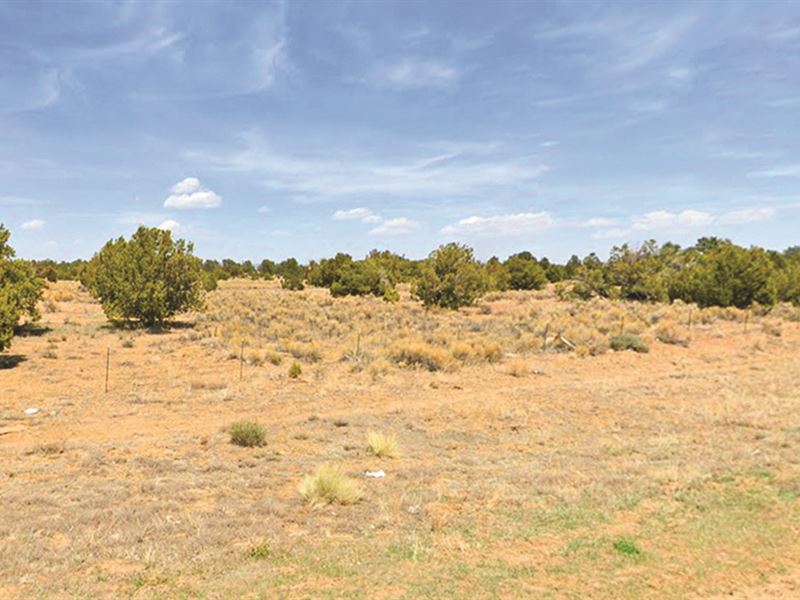 Incredible 10 Acres in Grants, NM : Grants : Cibola County : New Mexico