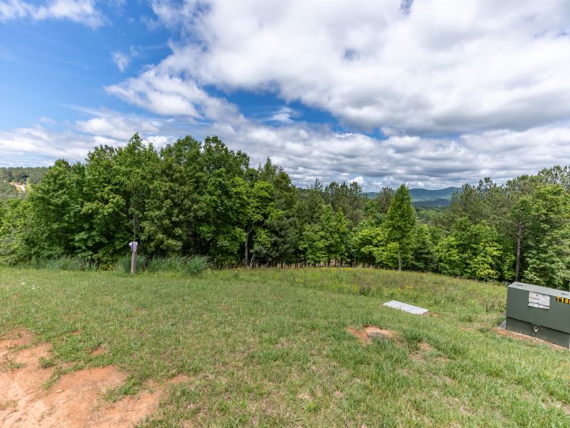 Onsite Creek Plus Nearby Amenities : Blairsville : Union County : Georgia