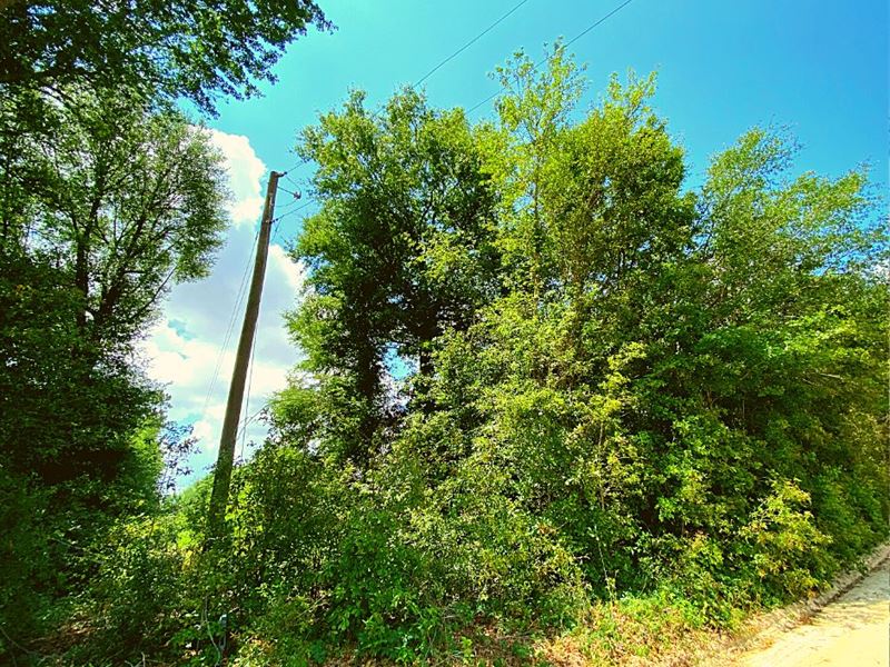 1.51 Acres Only $1 Down, $499/Mo : Bainbridge : Decatur County : Georgia