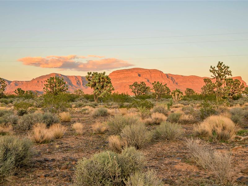 Huge Acreage Farm Lot : Meadview : Mohave County : Arizona