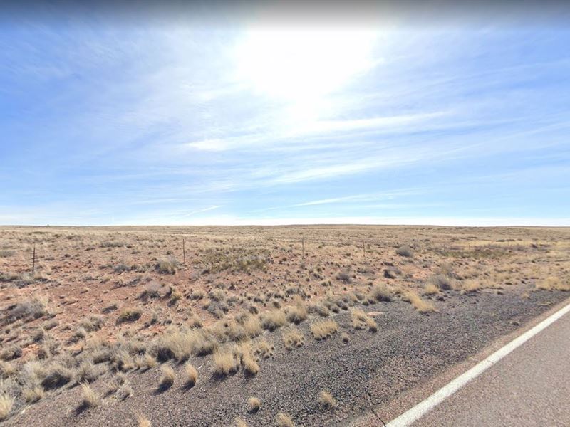 Own 1.26 Acres of Top Tier Land : Arizona : Navajo County : Arizona