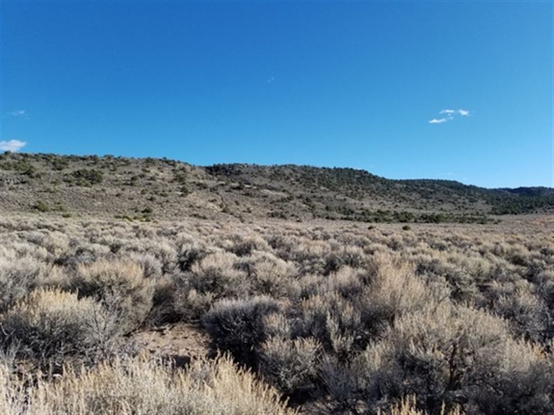 Fulfilling 5 Ac Only $160 a Month : San Luis : Costilla County : Colorado